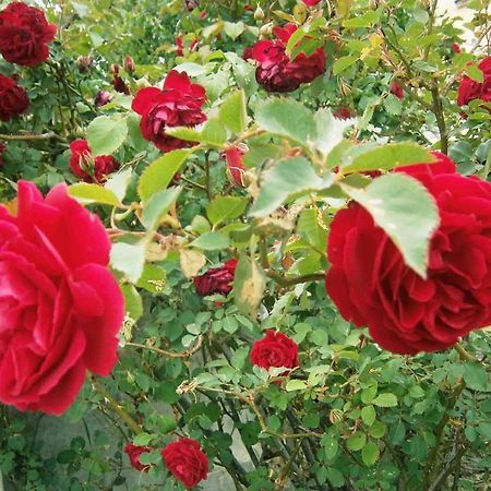 B&B S'Arrosa Antiga 산타디 외부 사진